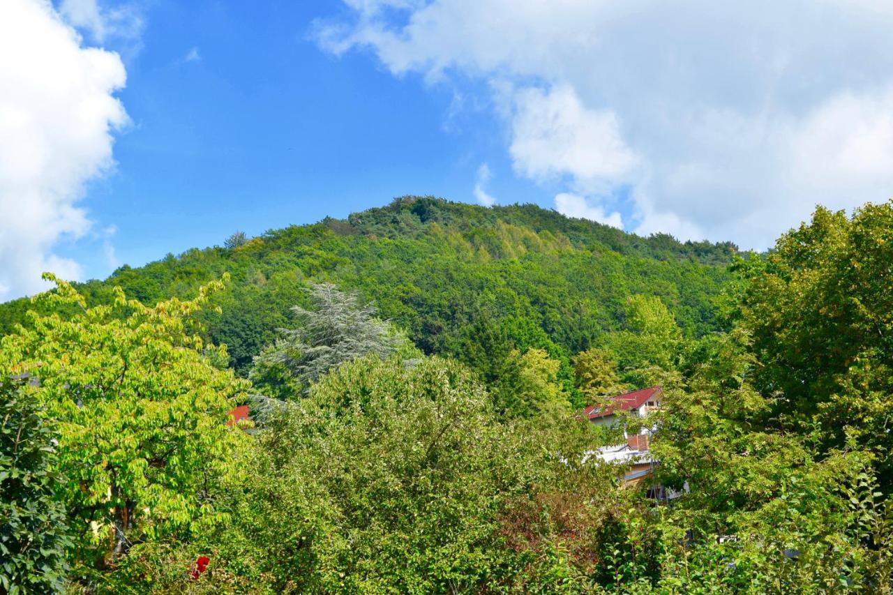 Ferienwohnung Am Geisberg Geisfeld  エクステリア 写真